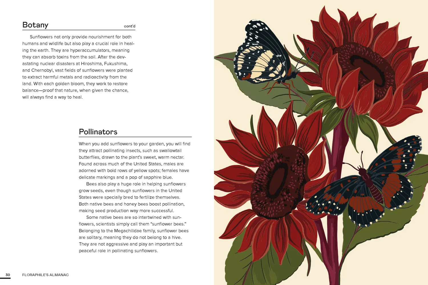 Floraphile Almanac blomsterbok innbundet 50 arter