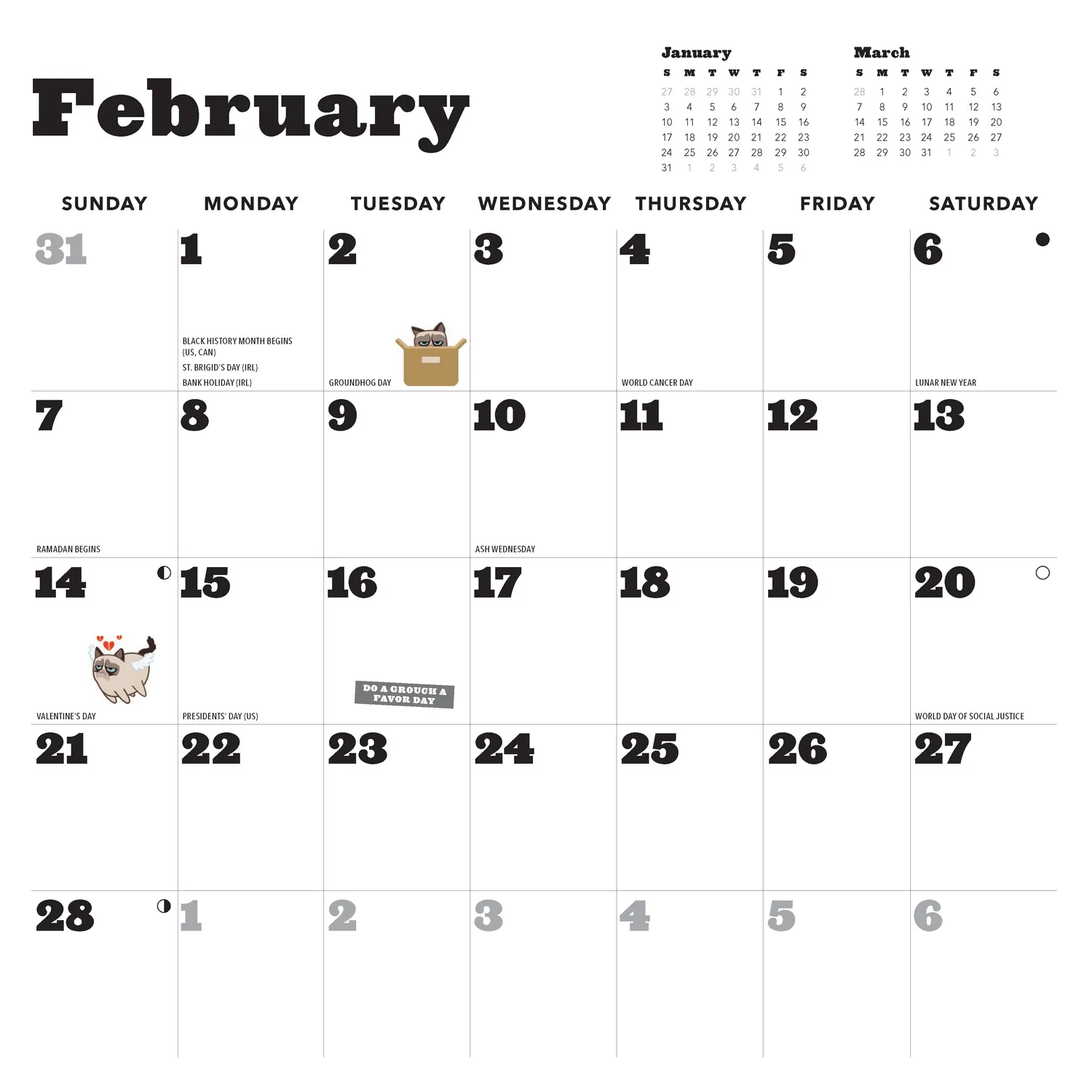Grumpy Cat 2027 veggkalender 12x12 gave