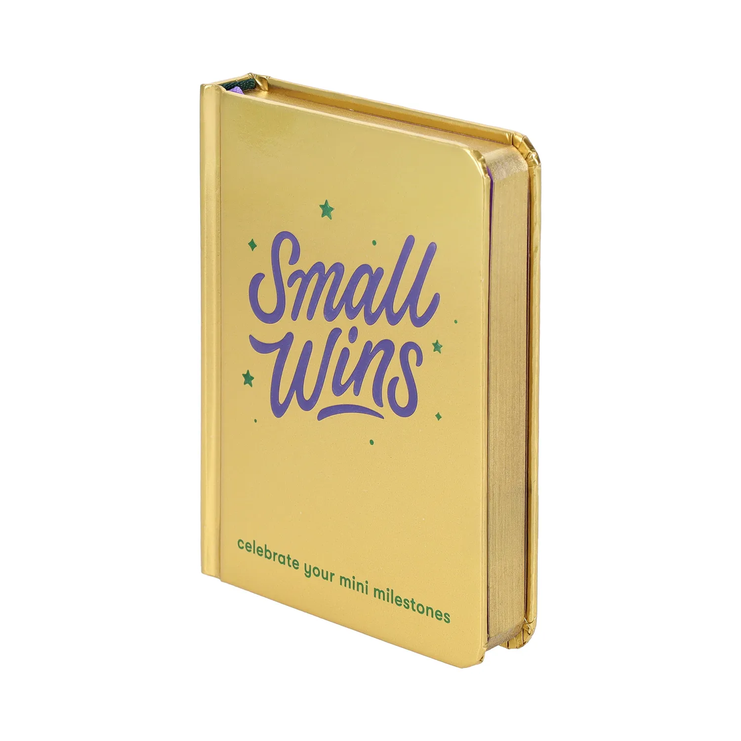 Abrams and Chronicle Small Wins journal dagbok miniseire
