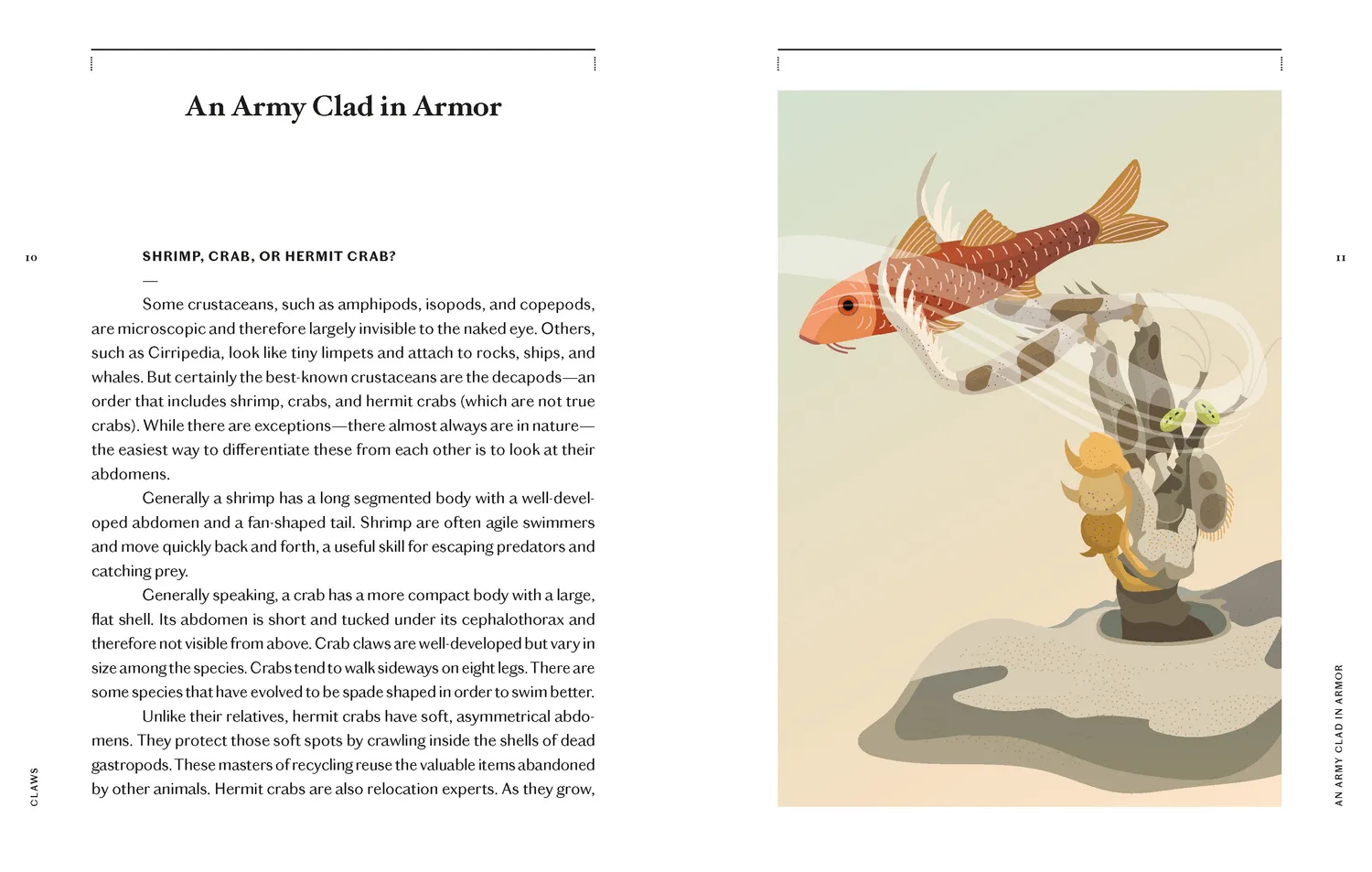 Princeton Claws Crab Lobster Shrimp innbundet naturbok havdyr