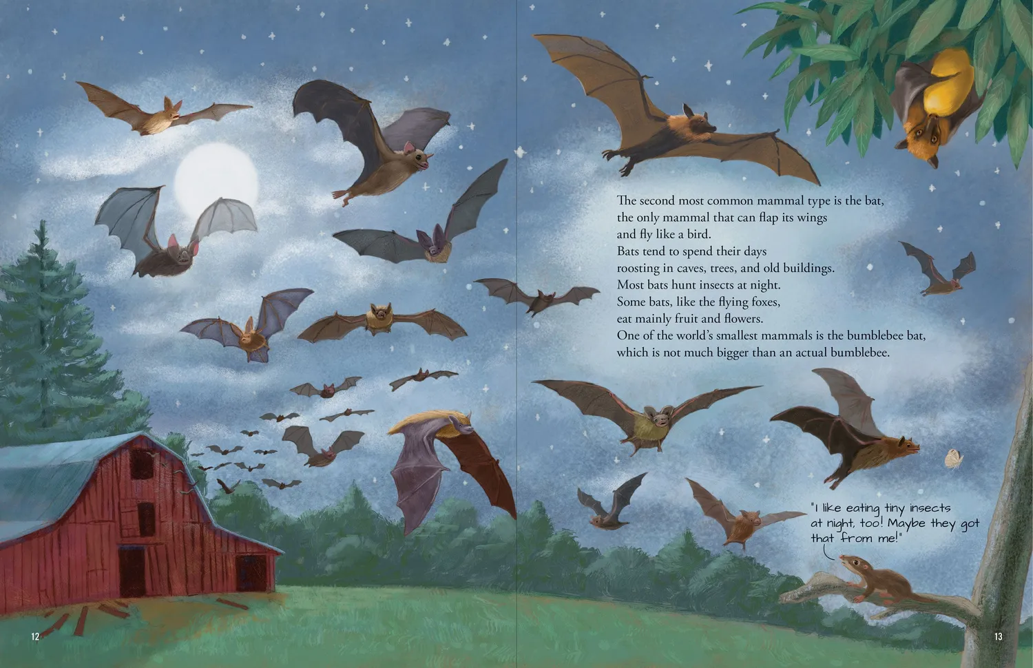 Peter Pauper Press All the Mammals in the World bildebok innbundet