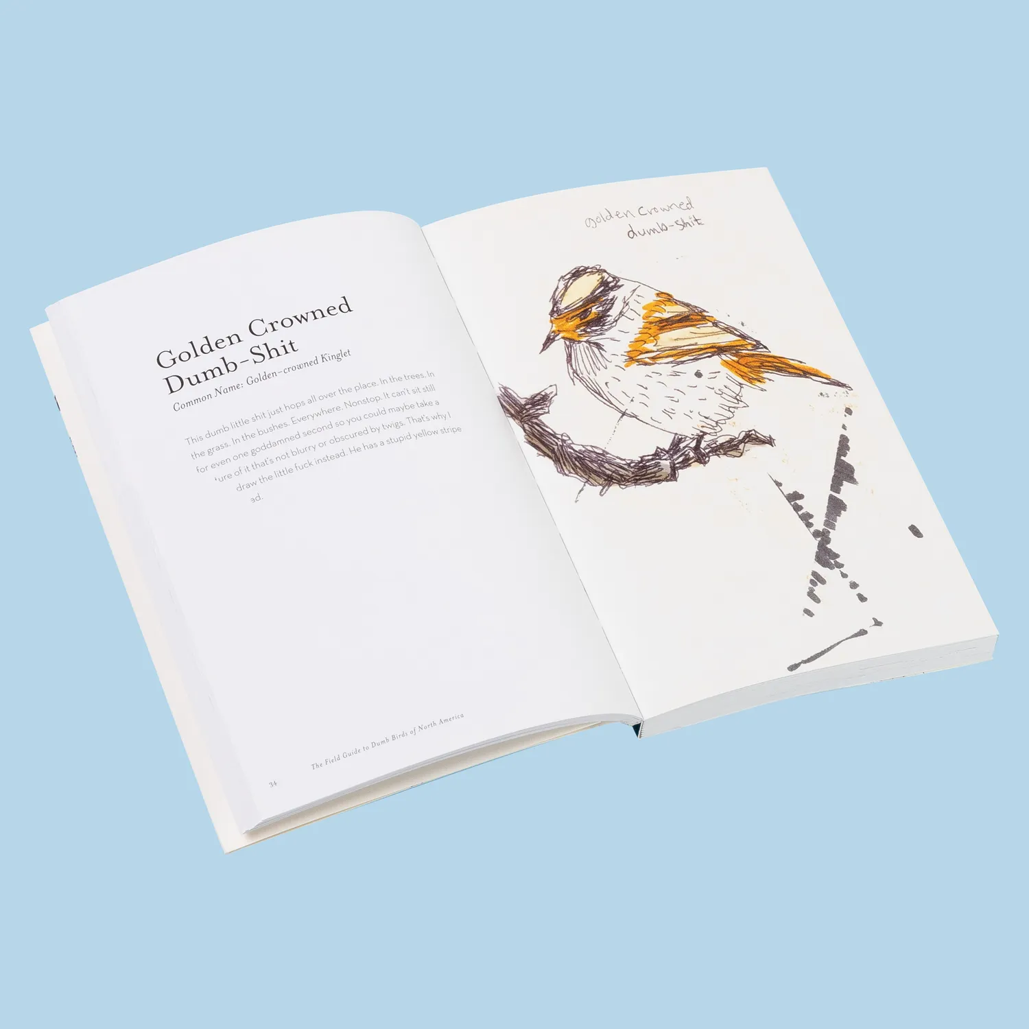 Chronicle Field Guide to Dumb Birds of America pocket humor