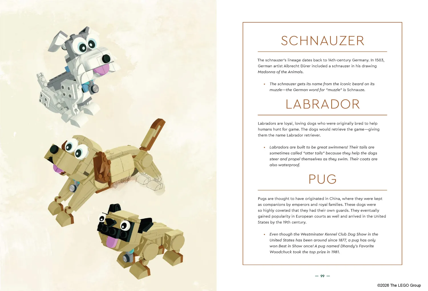 LEGO Animal Field Guide bok innbundet dyr