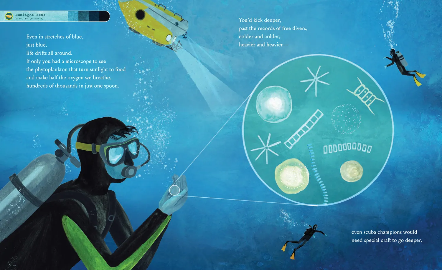 Abrams and Chronicle Bottom of the Ocean barnebok innbundet
