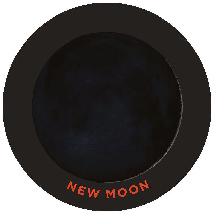 Chronicle Moon Matching Game memo NASA-bilder