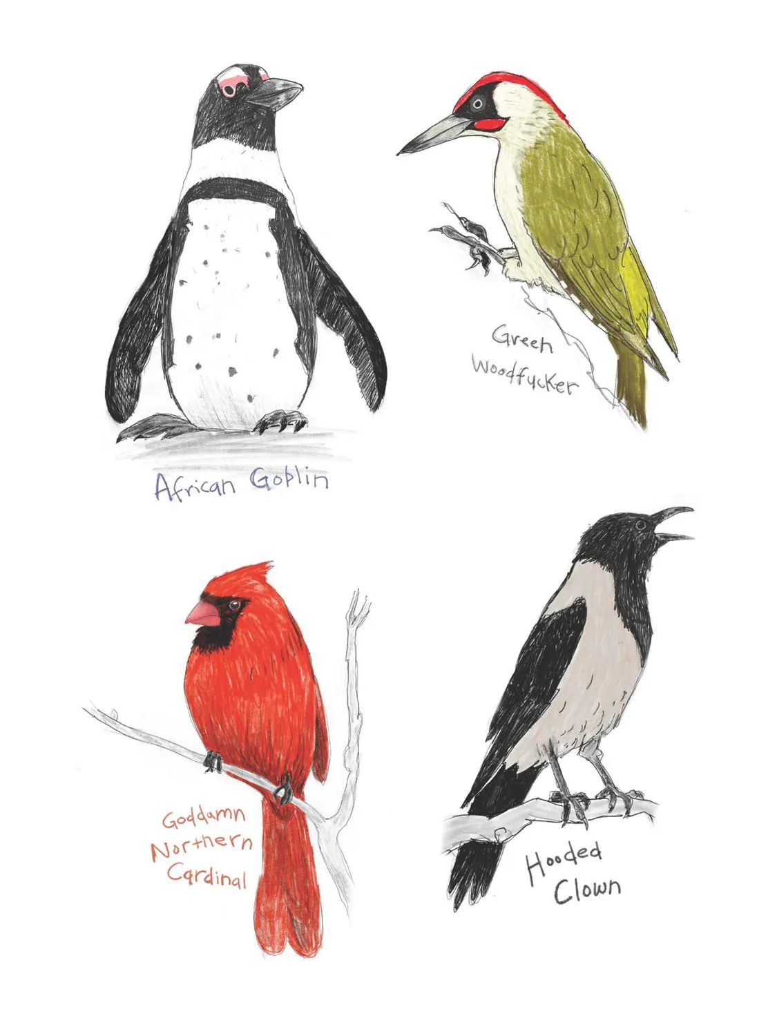 Abrams and Chronicle Field Guide Dumb Birds klistremerkebok 100+