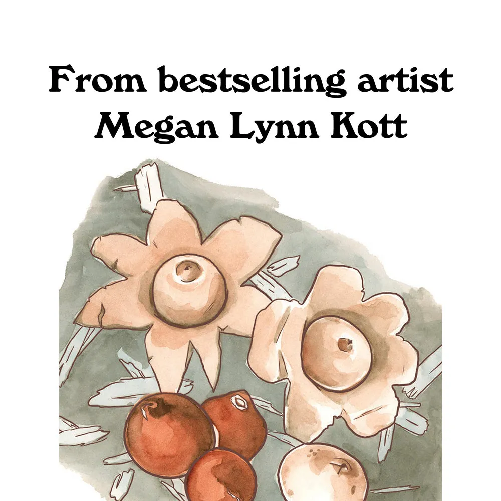 Chronicle Books Mushroom Spotter's Deck kortstokk