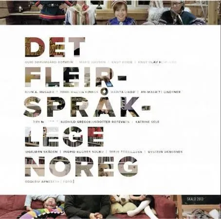 Bokia Det fleirspråklege Noreg innbundet pent brukt