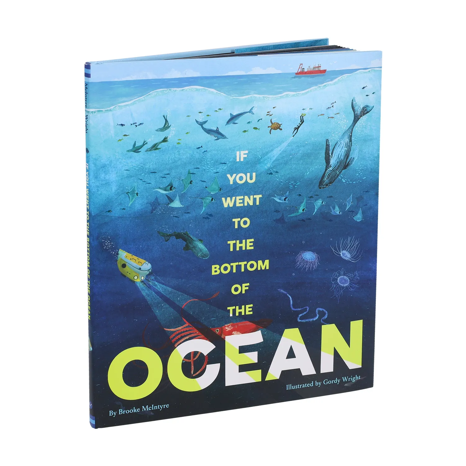 Abrams and Chronicle Bottom of the Ocean barnebok innbundet