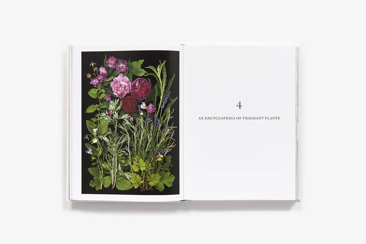 Abrams The Scentual Garden hagebok innbundet