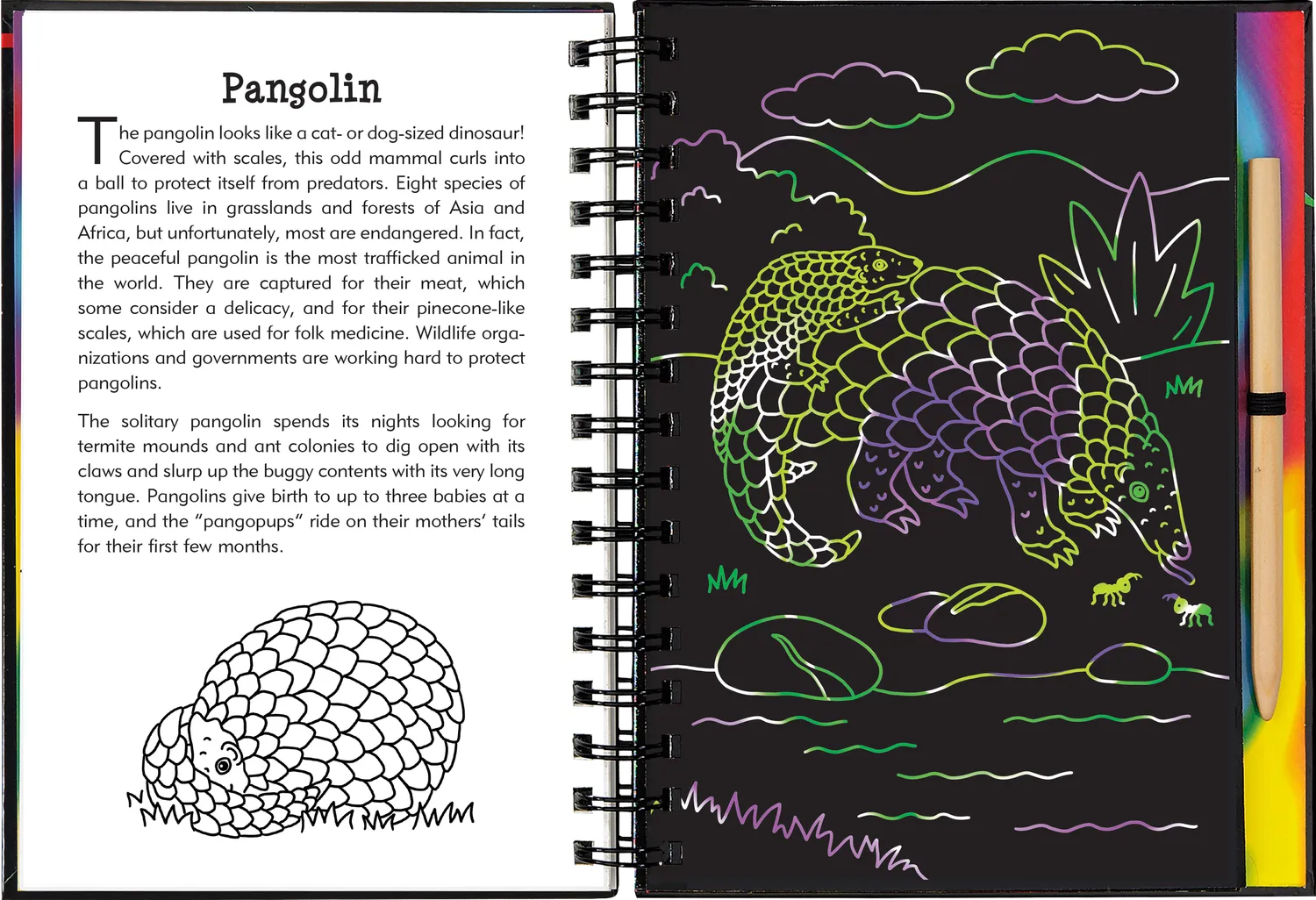Scratch and Sketch Nocturnal Animals skrapebok barn