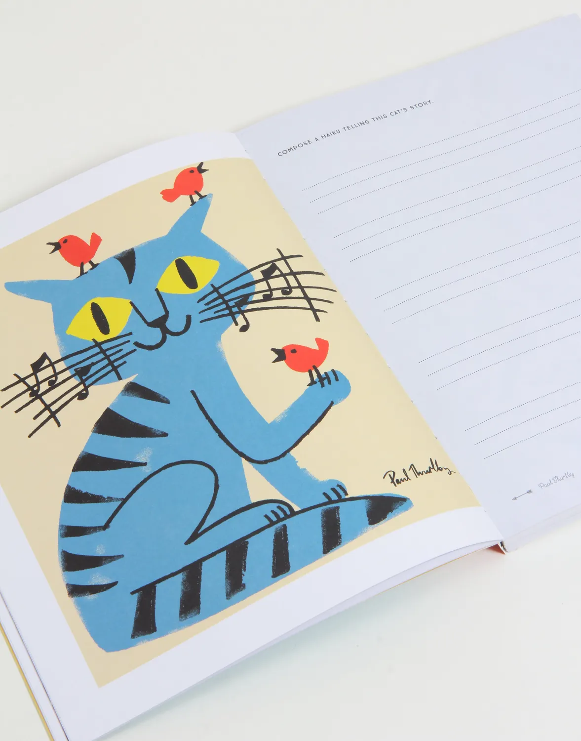 Abrams and Chronicle Creative Writing skrivedagbok journal