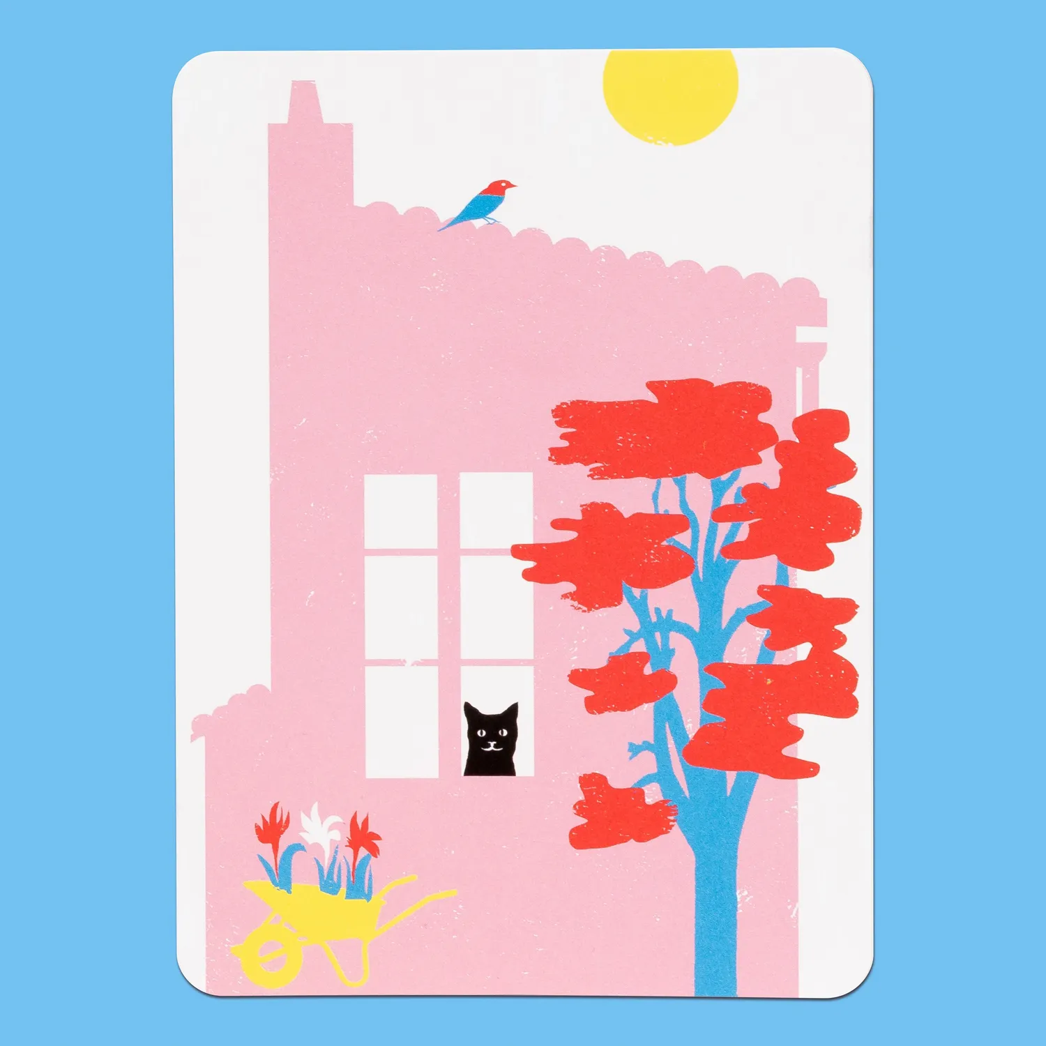 Le Chat Noir 20 korrespondansekort med konvolutter katt