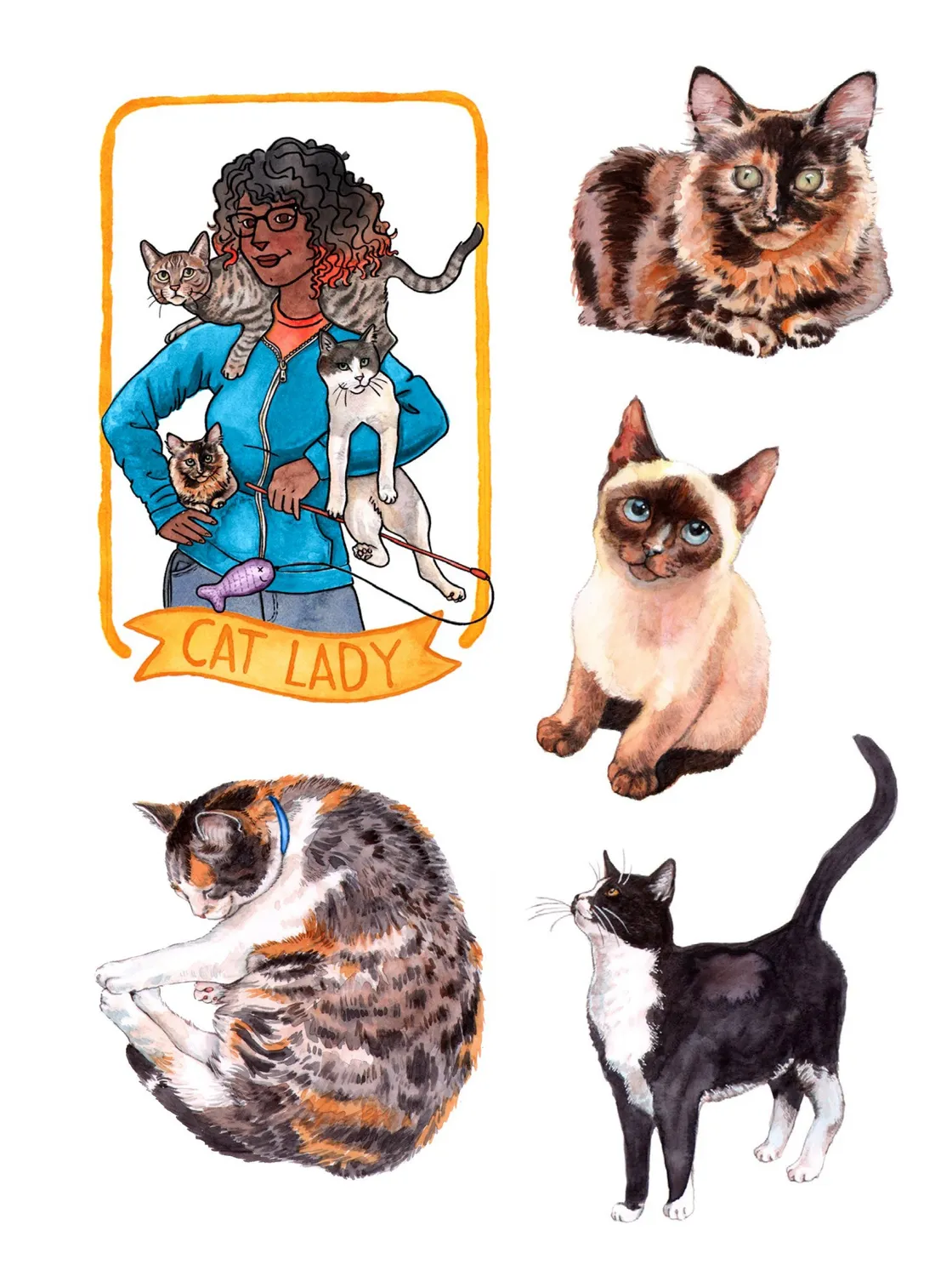 Abrams and Chronicle The Cat's Meow klistremerkebok 100+ katter