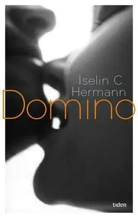 Bokia Domino innbundet bok pent brukt paris-roman