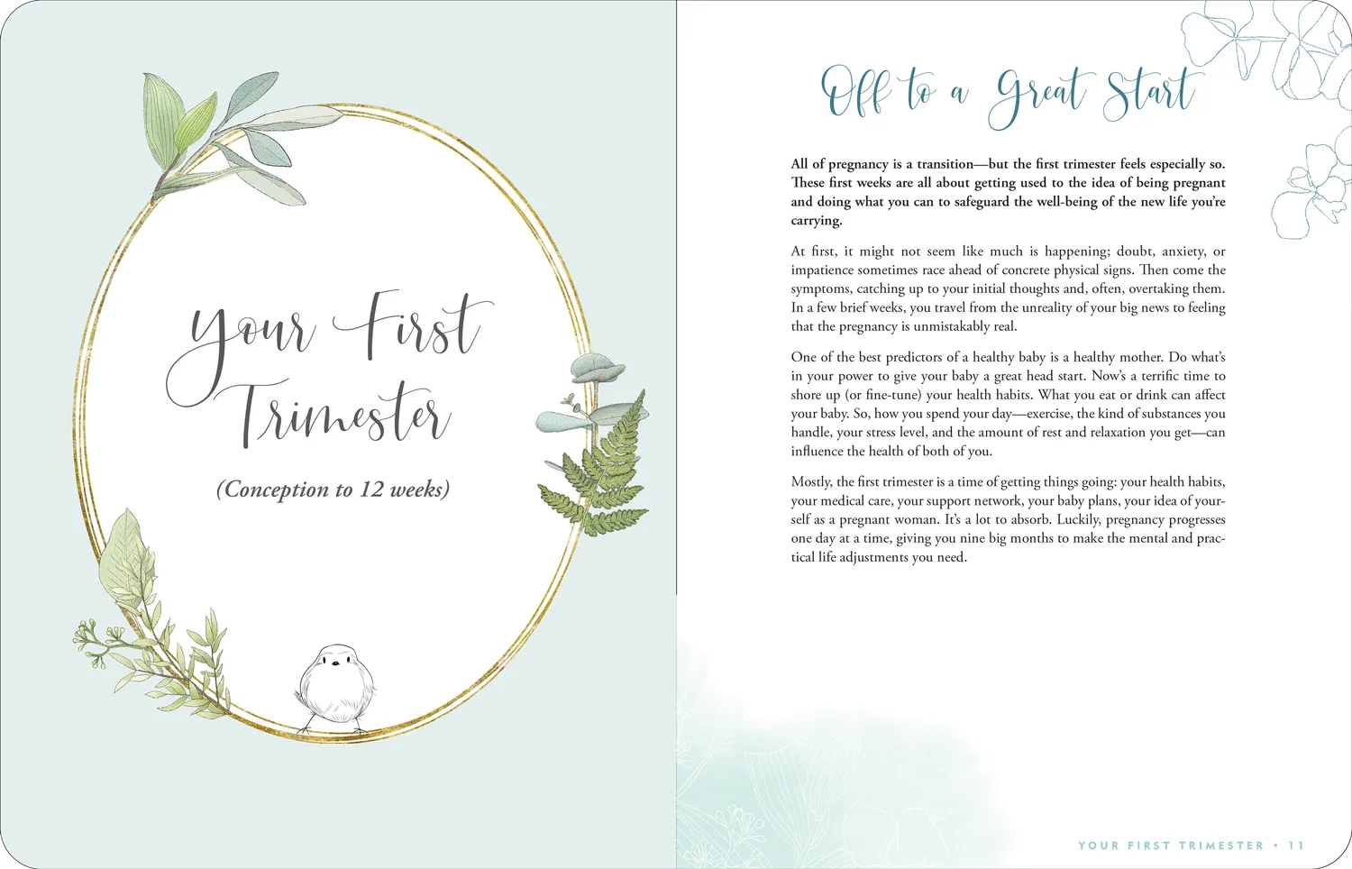 Peter Pauper Press Pregnancy Journal gravidbok uke for uke