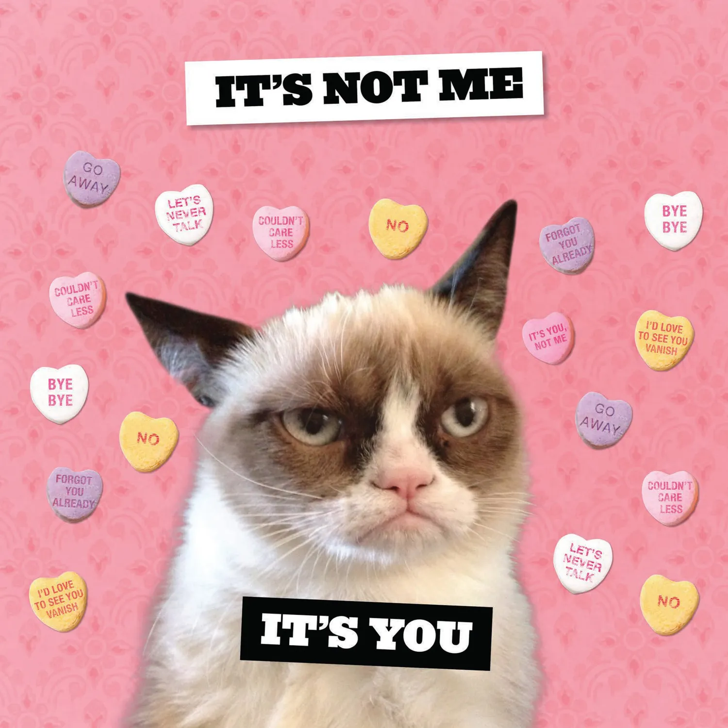 Grumpy Cat 2027 veggkalender 12x12 gave