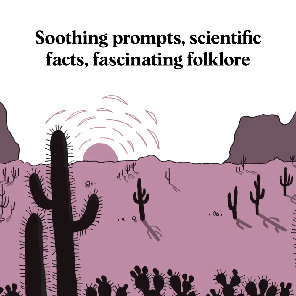 Chronicle Books Pocket Nature Sunset Seeking bok innbundet mindfulness
