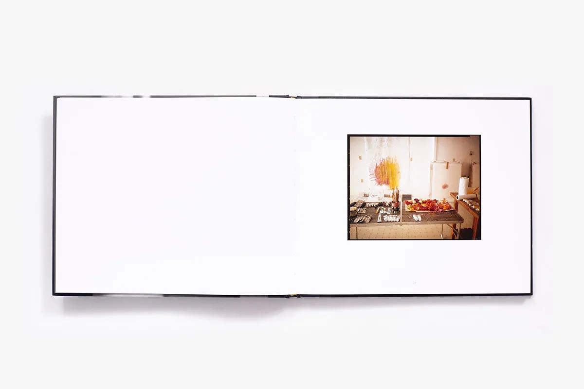 Abrams Remembered Light Cy Twombly in Lexington innbundet kunstbok
