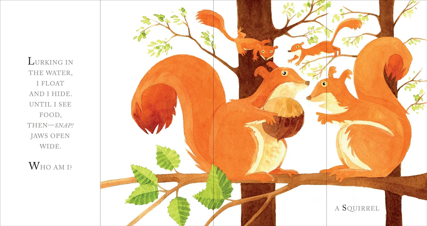 Whose Tail? biletbok innbundet klaffer Agathe Hennig