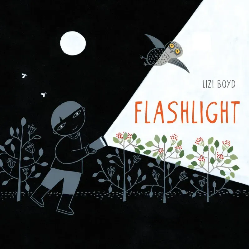 Chronicle Books Flashlight bildebok innbundet natt