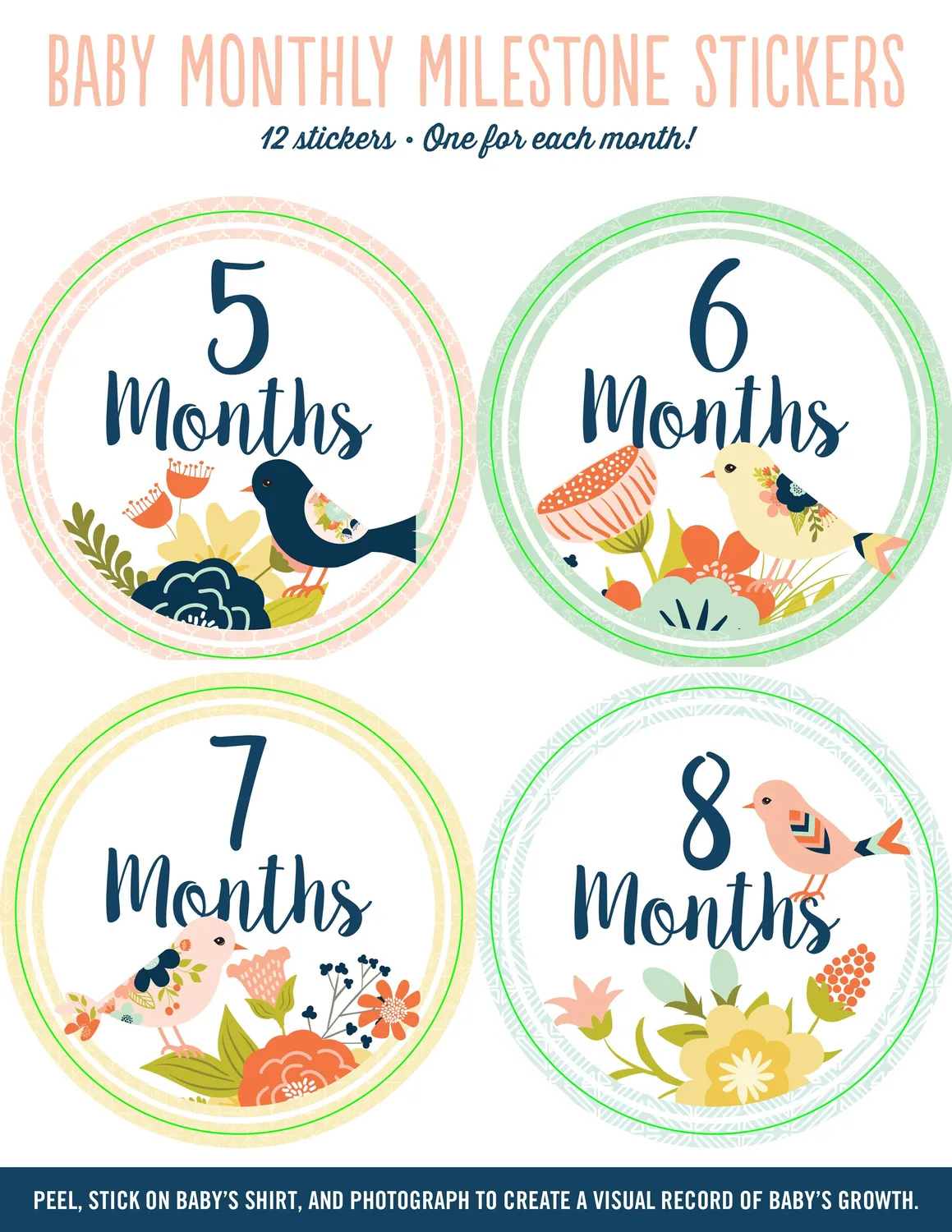 Peter Pauper Press Baby Monthly Milestone Stickers klistremerker fugl 12 stk