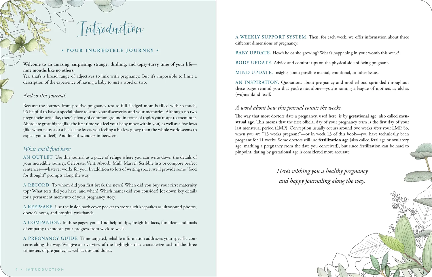 Peter Pauper Press Pregnancy Journal gravidbok uke for uke