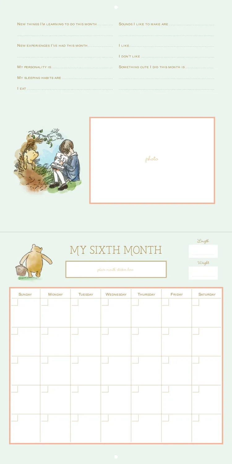 Peter Pauper Press Winnie-the-Pooh babykalender første år