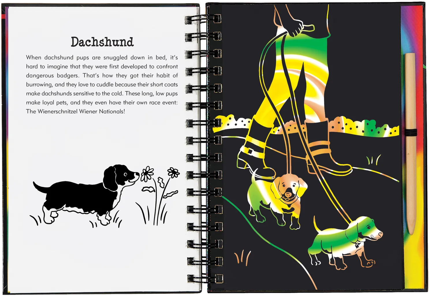 Peter Pauper Press Puppies Scratch and Sketch skrapebok