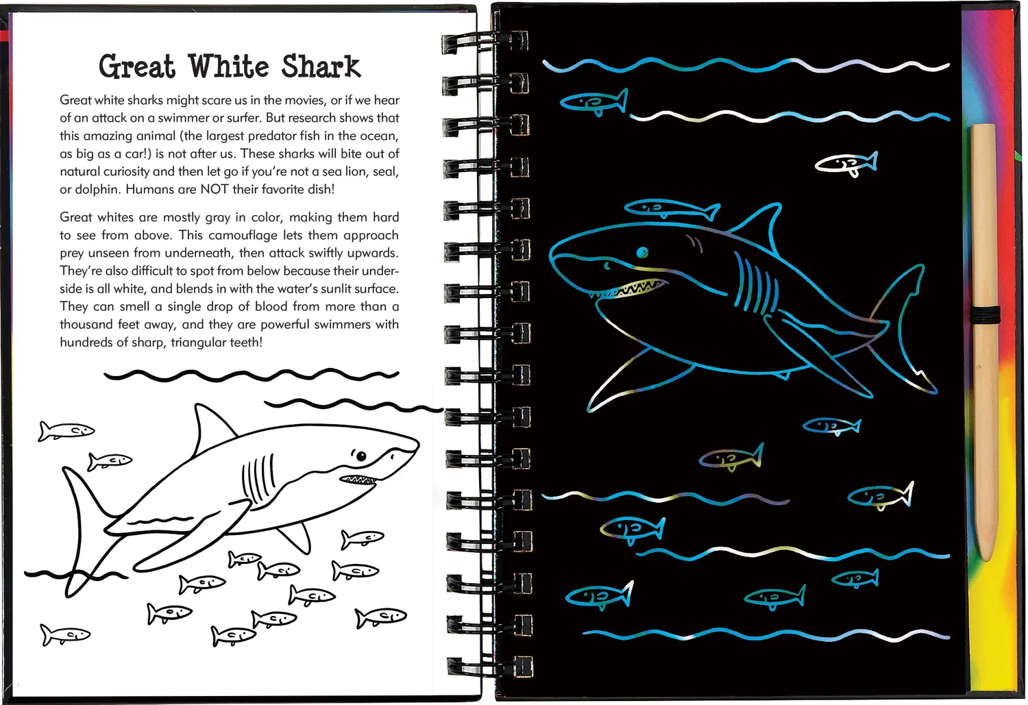 Peter Pauper Press Sharks Scratch and Sketch skrapebok