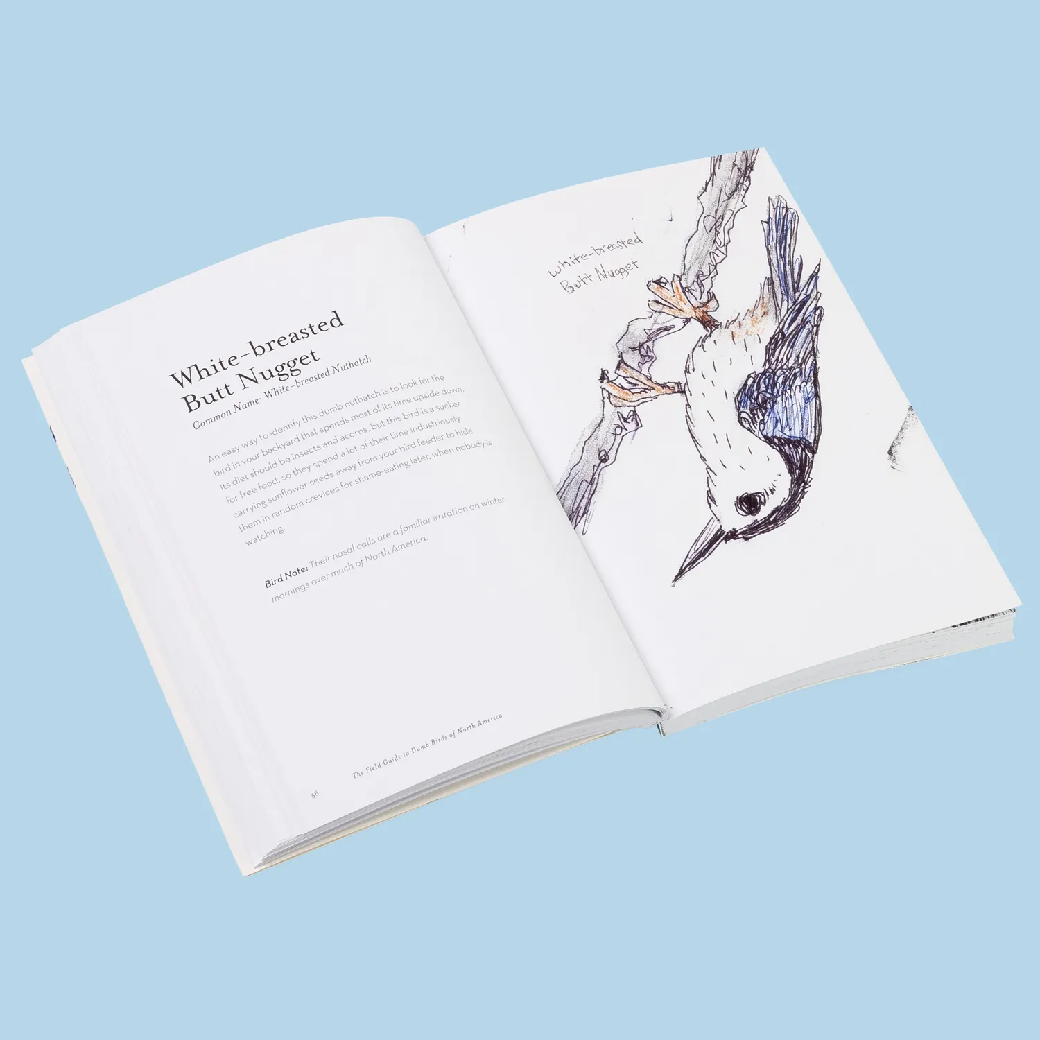 Chronicle Field Guide to Dumb Birds of America pocket humor