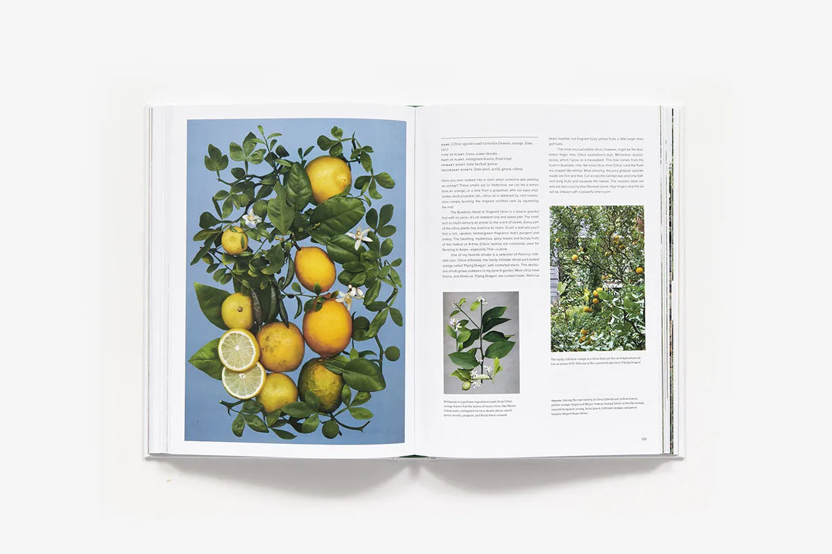 Abrams The Scentual Garden hagebok innbundet