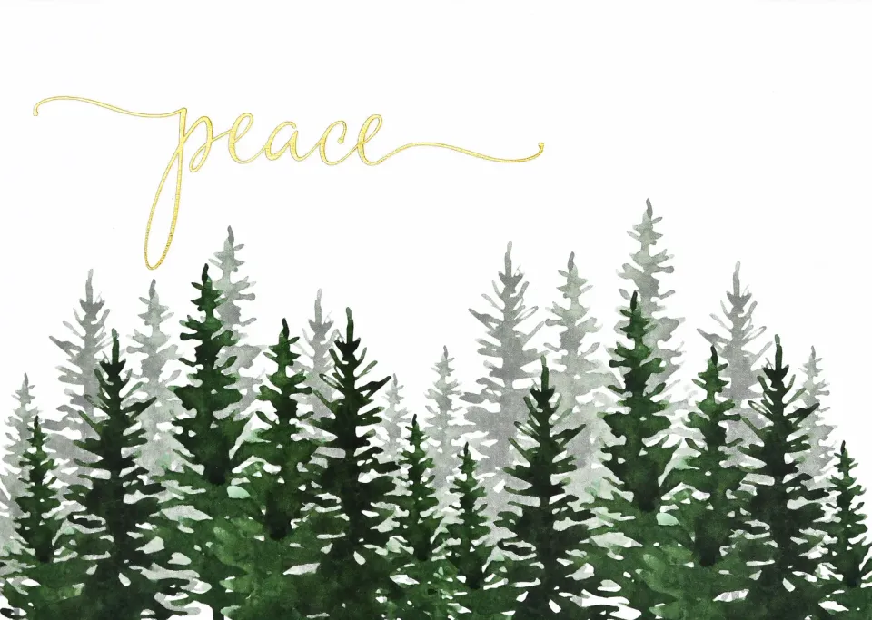 Peter Pauper Press Winter Evergreens julekort 20-pakning fred