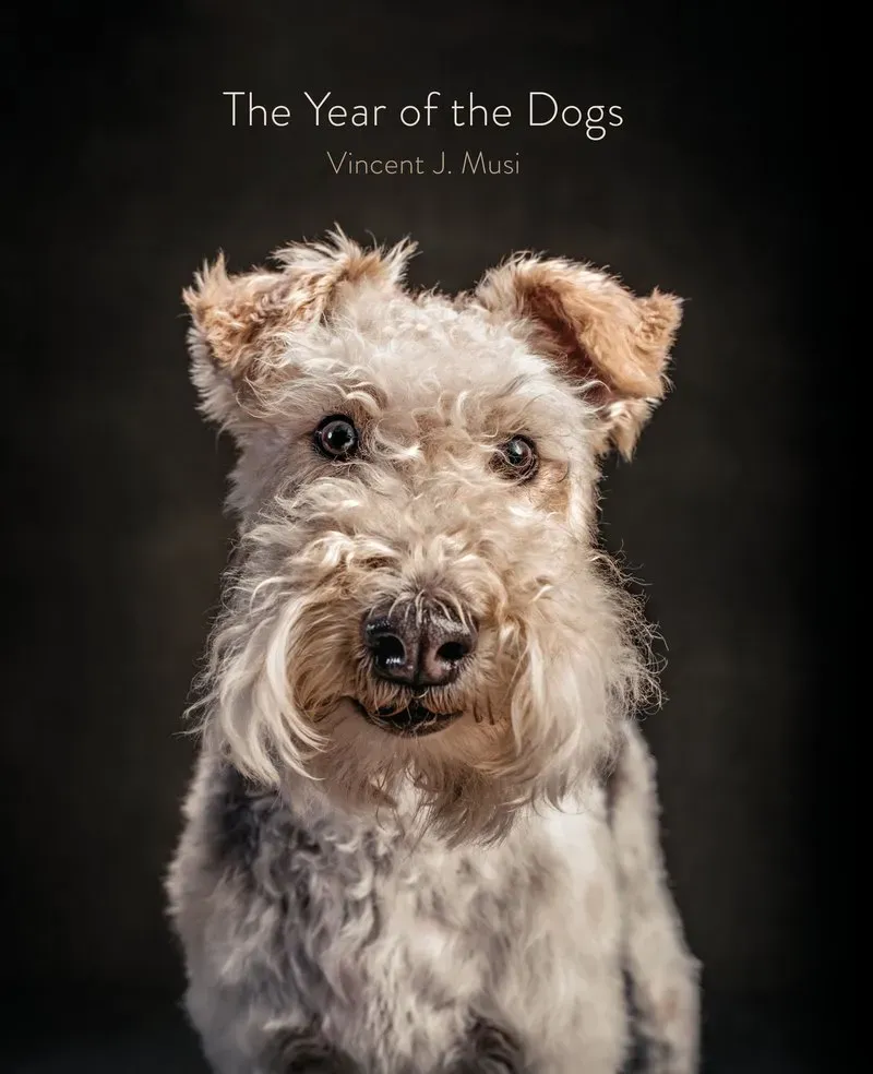 Abrams & Chronicle Books The Year of the Dogs innbundet gavebok hunder