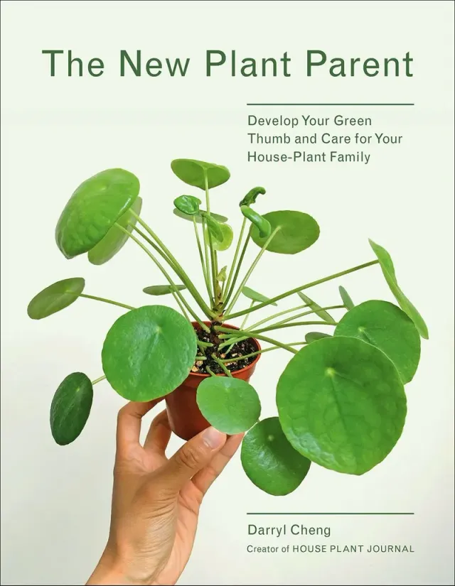 Abrams and Chronicle New Plant Parent pocket grønne planter