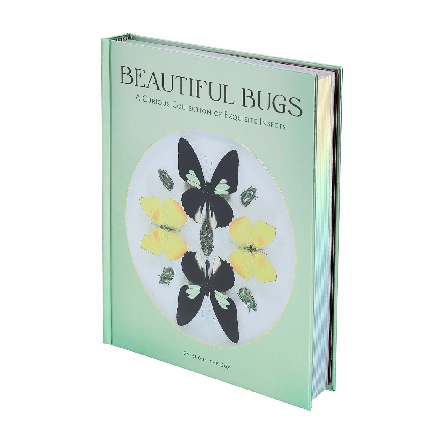 Abrams and Chronicle Beautiful Bugs innbundet faktabok insekter