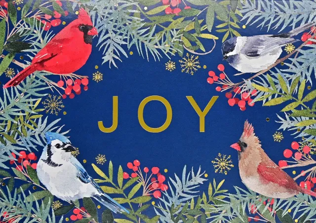 Peter Pauper Press Wings of Joy Deluxe Boxed julekort 20 stk fugler