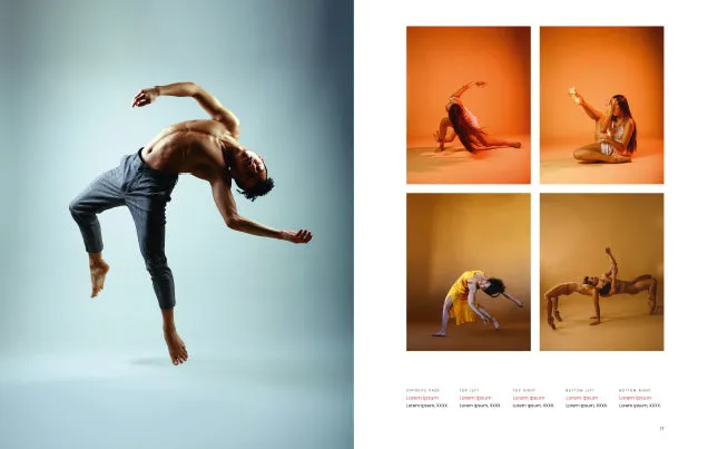 Chronicle Books Dance Vision pocket kunstbok dans