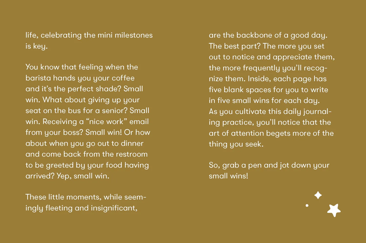 Abrams and Chronicle Small Wins journal dagbok miniseire