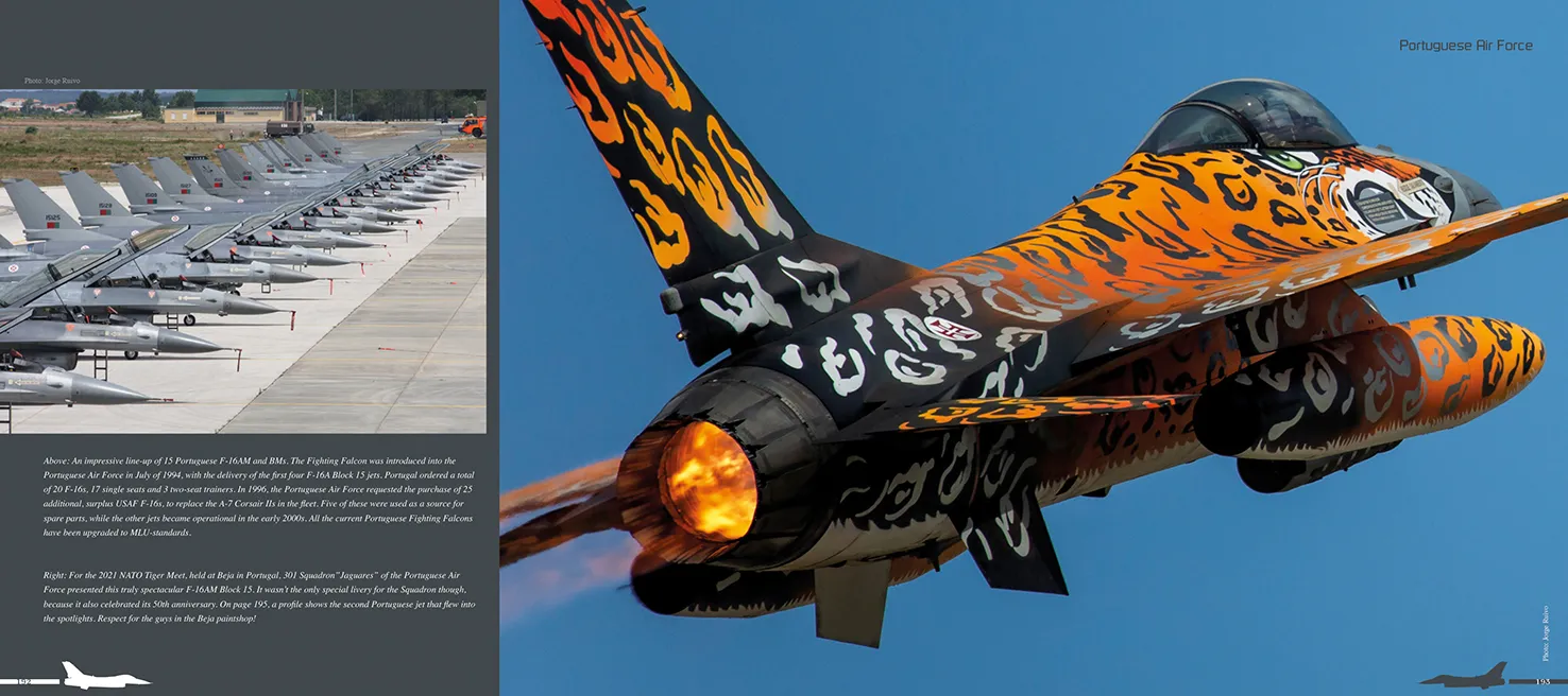 Duke Hawkins Ode to the Falcon F-16 innbundet