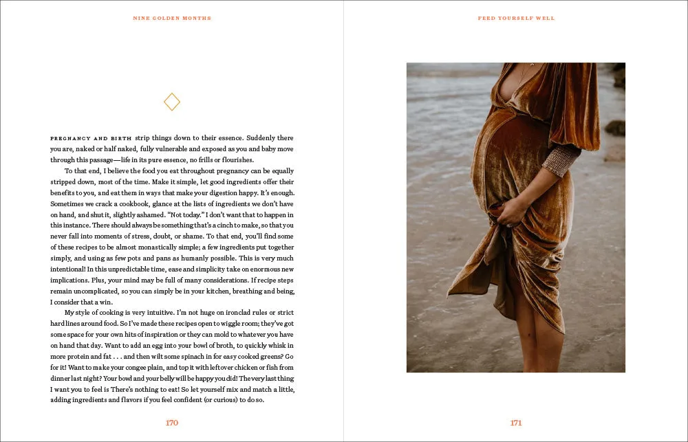Abrams and Chronicle Nine Golden Months innbundet gravidbok