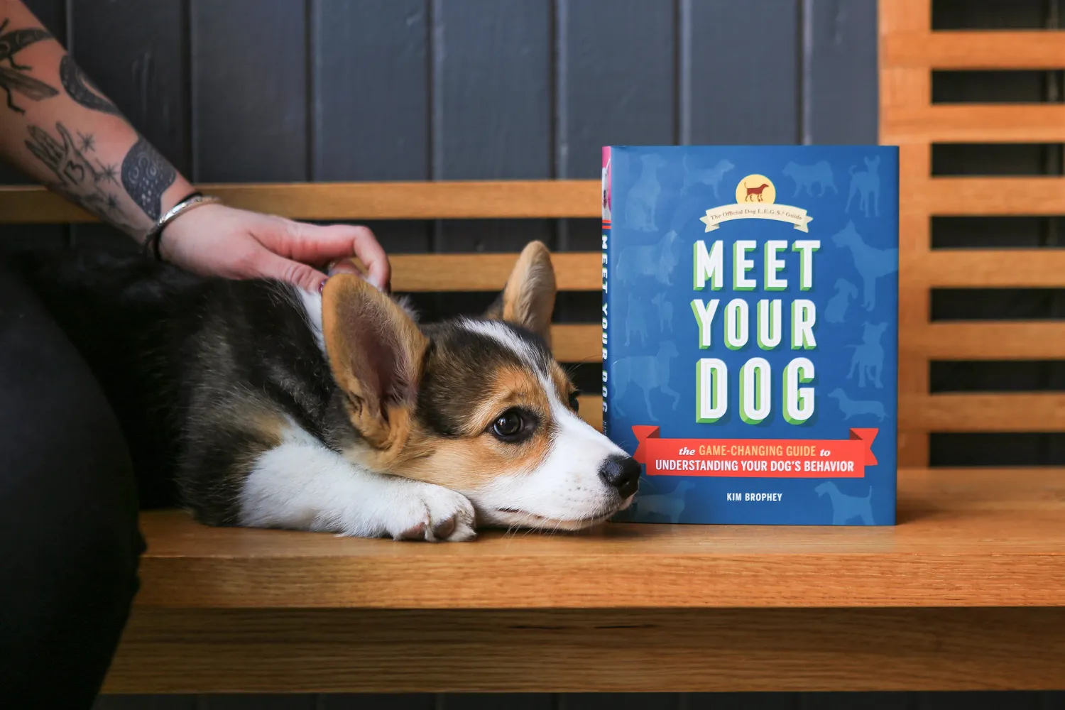 Meet Your Dog innbundet hundebok om adferd