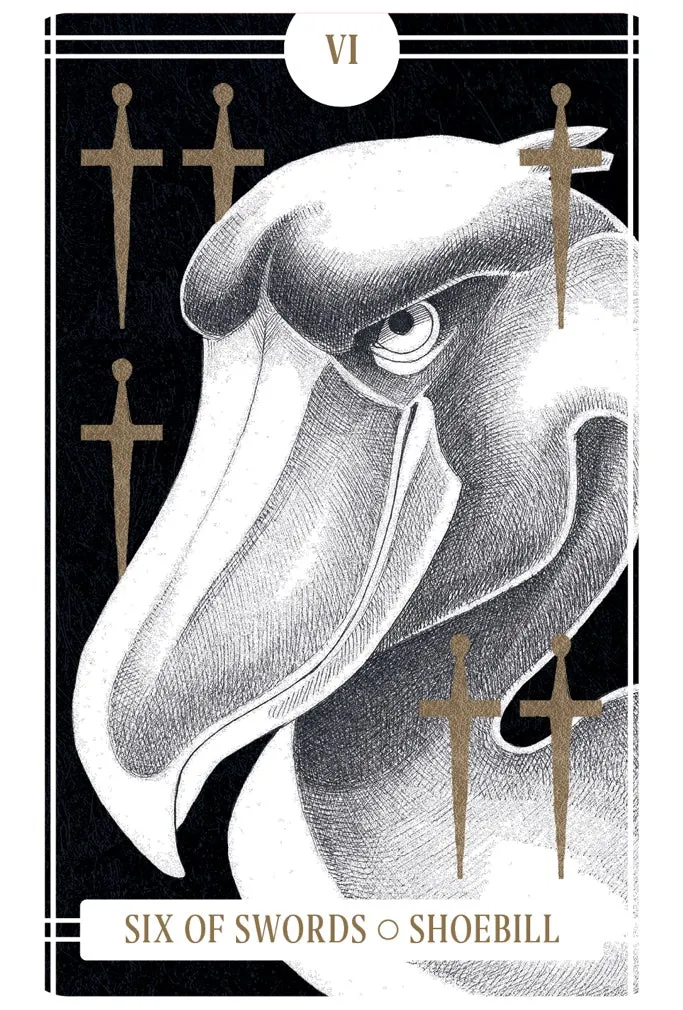 Chronicle Books Avian Tarot tarotkort 78 kort fuglemotiv