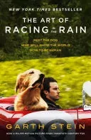 Bokia The Art of Racing in the Rain bok slitt hund