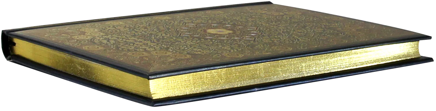 Peter Pauper Press Jeweled Filigree notatbok gullsnitt 160 sider