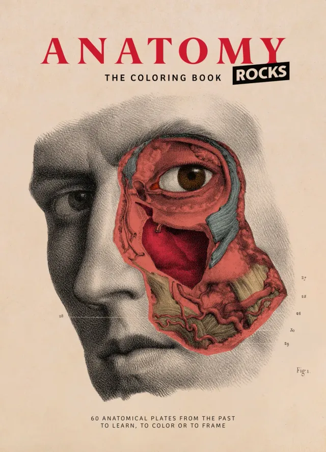 Abrams & Chronicle Books Anatomy Rocks fargeleggingsbok innbundet