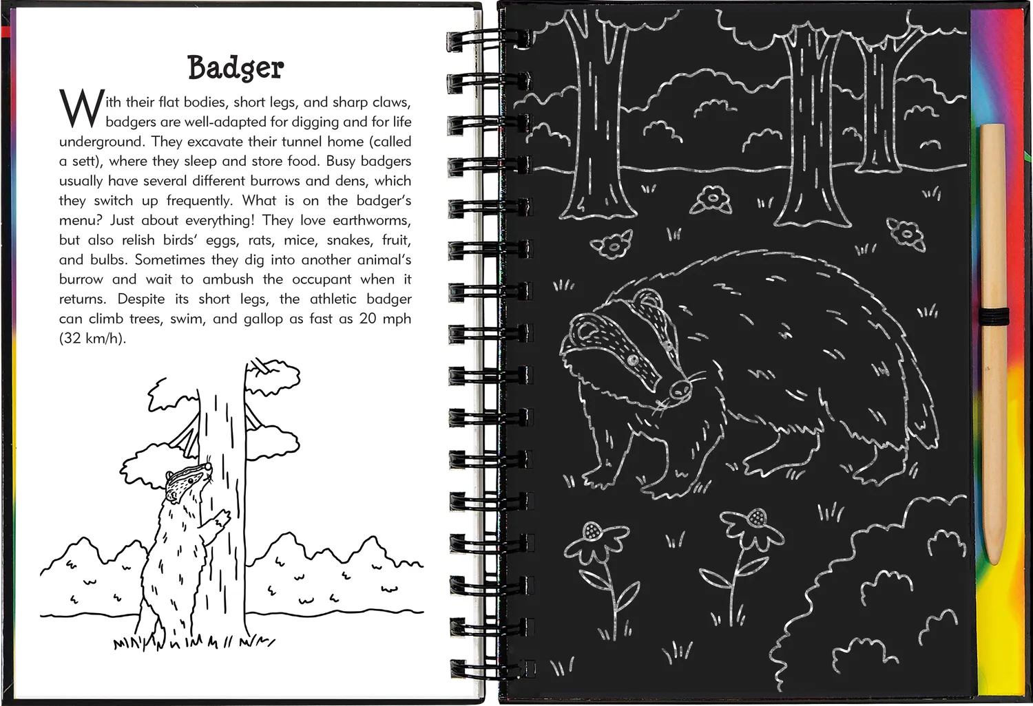 Scratch and Sketch Nocturnal Animals skrapebok barn