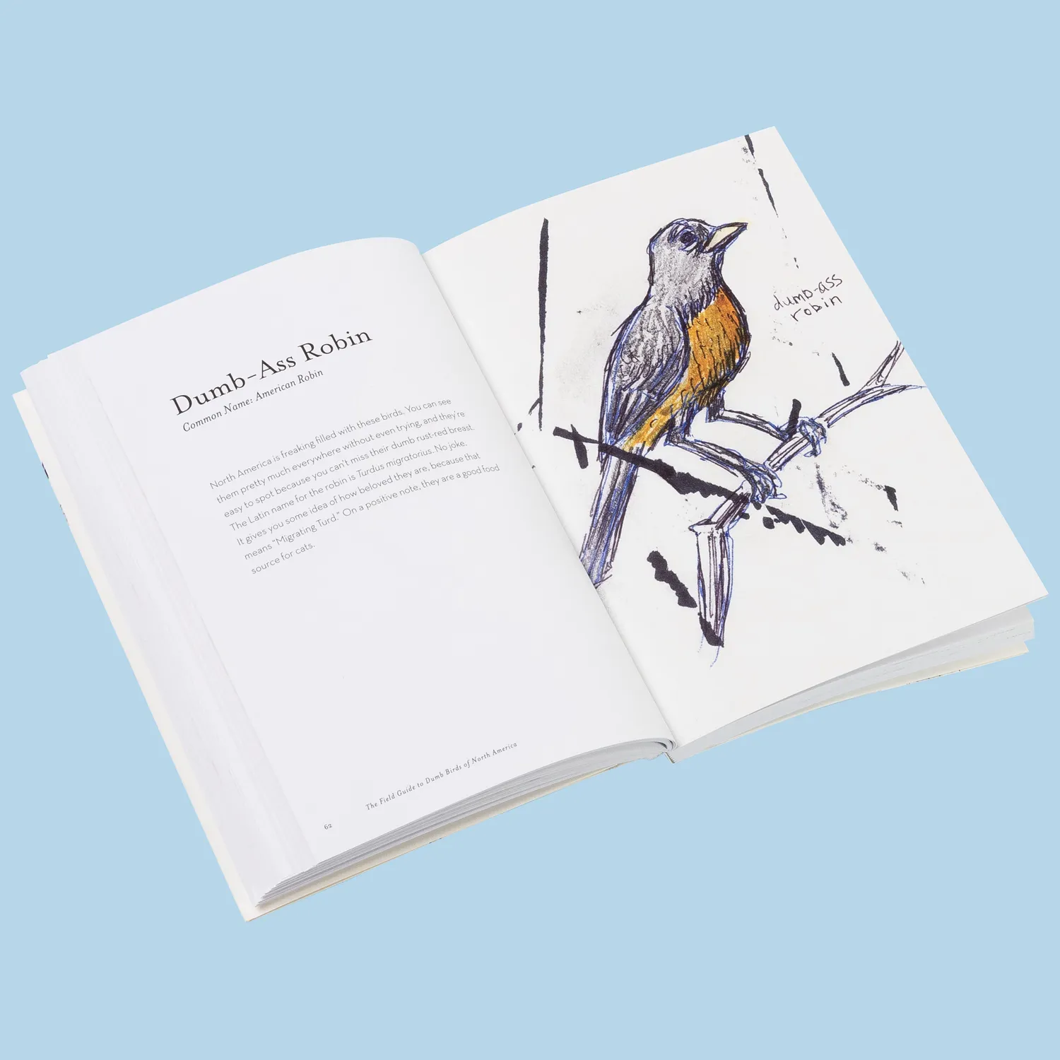 Chronicle Field Guide to Dumb Birds of America pocket humor