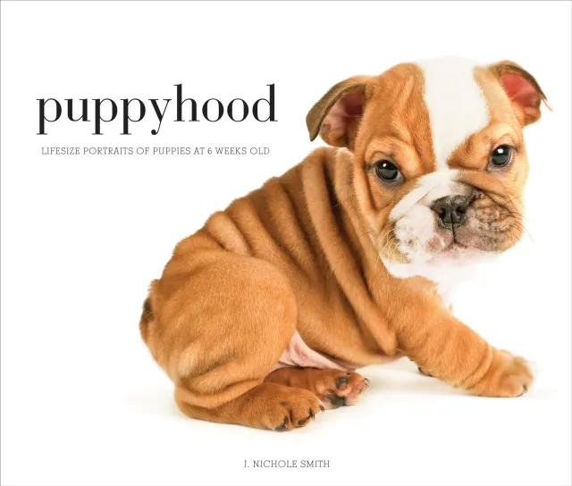 Stewart Puppyhood fotobok innbundet valper 6 uker
