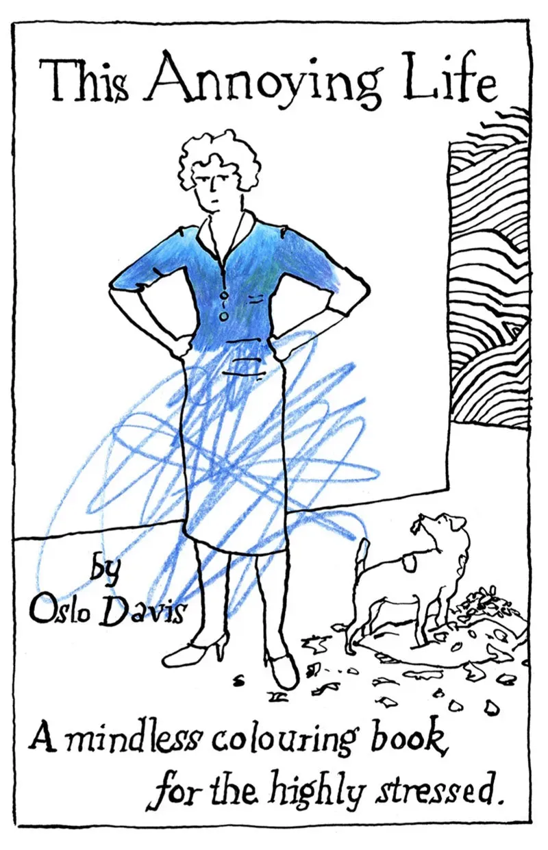 Chronicle Books This Annoying Life fargeleggingsbok pocket